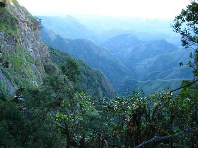 Green Valley View