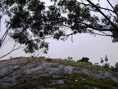 Silent Valley View