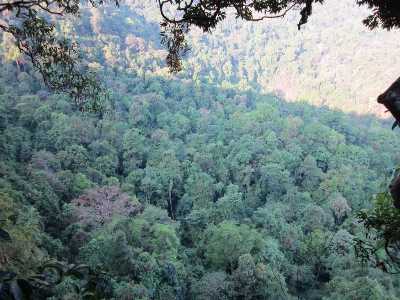 Kottancheri Hills