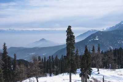 Gulmarg Biosphere Reserve