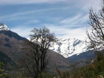 Naggar