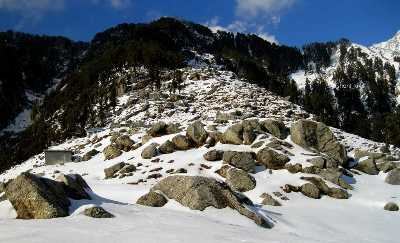 Triund