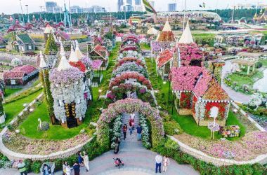 Dubai Miracle Garden