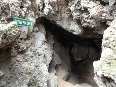 Eco Cave Garden