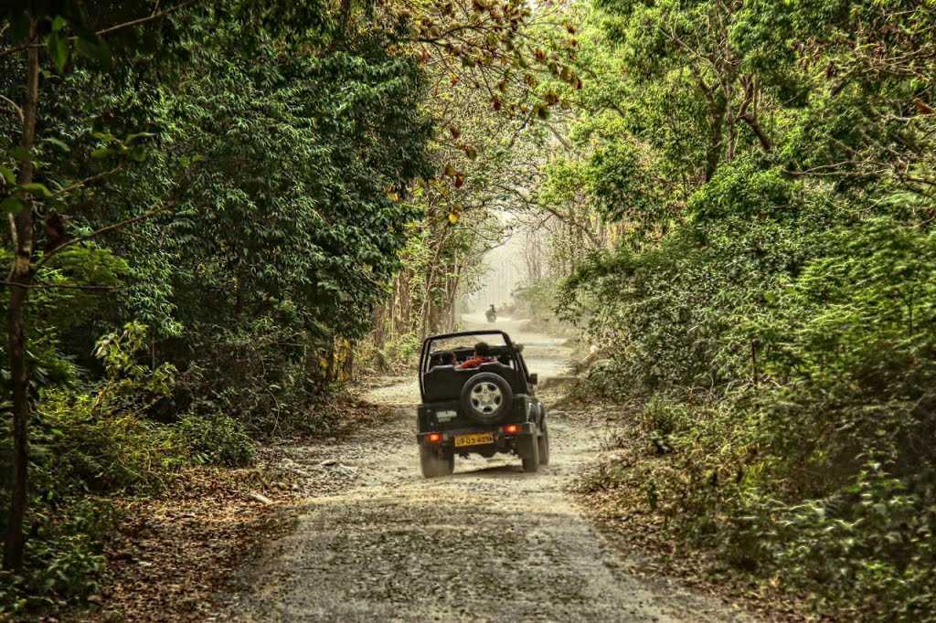 Jungle Safari in Corbett National Park