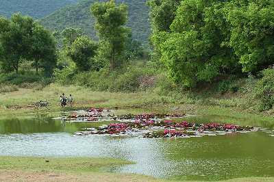 Nilgiri Biosphere Nature Park