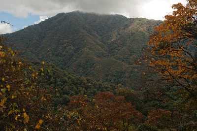 Eagle Nest Wildlife Sanctuary