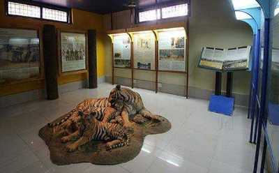 Kanha Museum