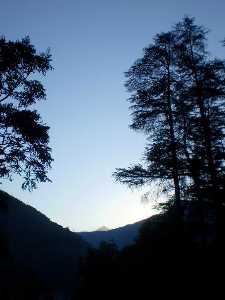 Kuteti Devi Temple