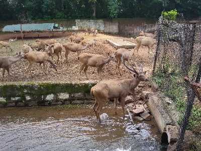 Nandan Van Zoo