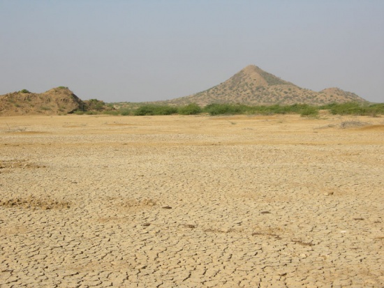 Banni Grasslands Reserve