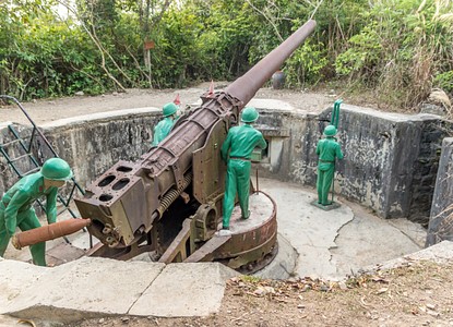 Cannon Fort