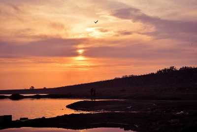 Nyari Dam