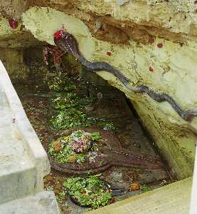 Gangeshwar Temple