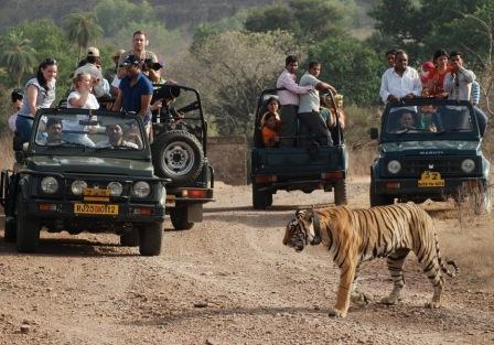 Jeep and Canter Safari 