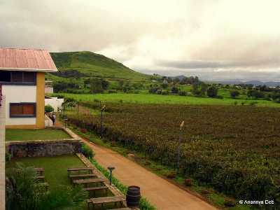 Sula Vineyards