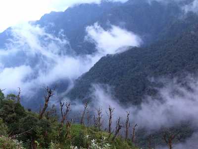 Hoang Lien National Park