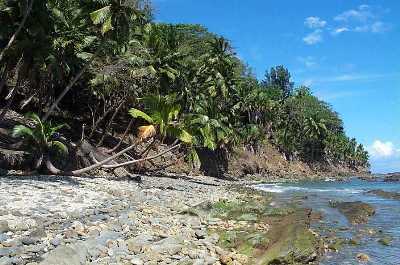 Ross Islands