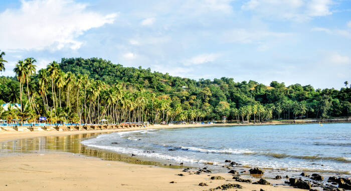 Corbyns Cove Beach 