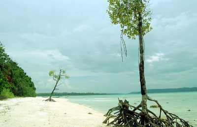 Vijaynagar Beach