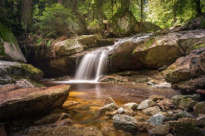 Hon Ba Nature Reserve 