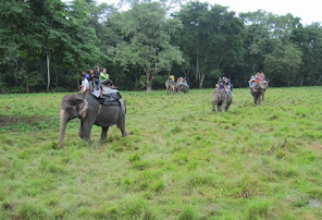 Chitwan Jungle Safari