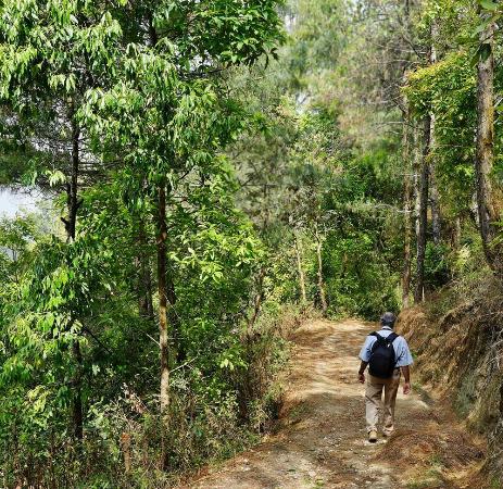 Nagarkot Nature Trail