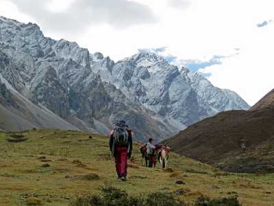 Jigme Dorji National Park