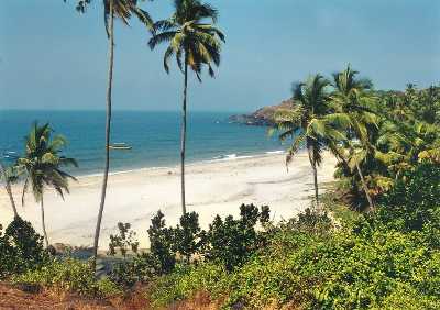 Cavelossim Beach