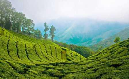 Munnar