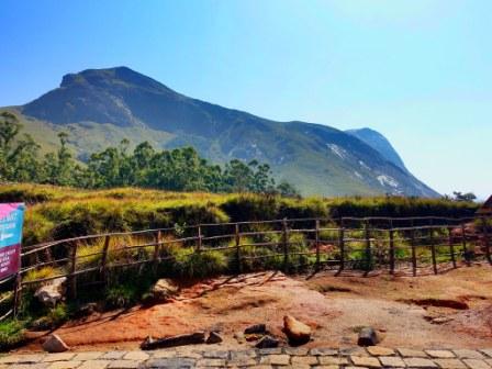 Eravikulam National Park