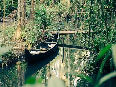 Kumarakom Bird Sanctuary