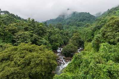 Thusharagiri Fall