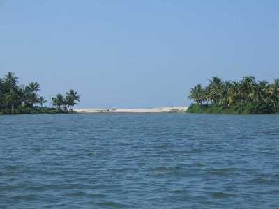 Ashtamudi Lake