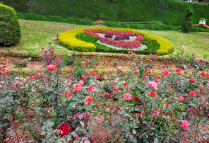 Rose Garden