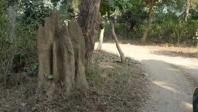 Rajaji National Park