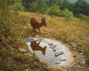 Jabarkhet Wildlife Reserve 