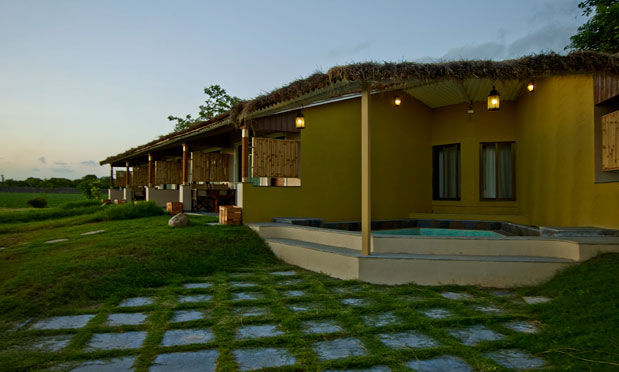 Asiatic Lion Lodge