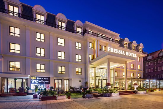 Freesia Hotel Sapa