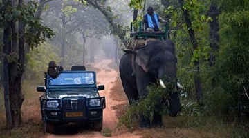 GOLDEN TRIANGLE WITH WILDLIFE TOUR PACKAGE